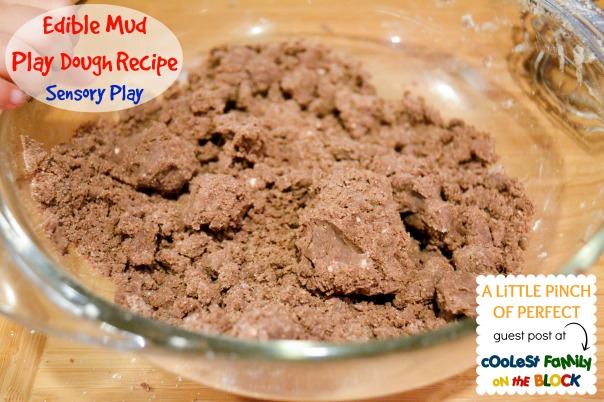DIY Edible Mud Play Dough Recipe